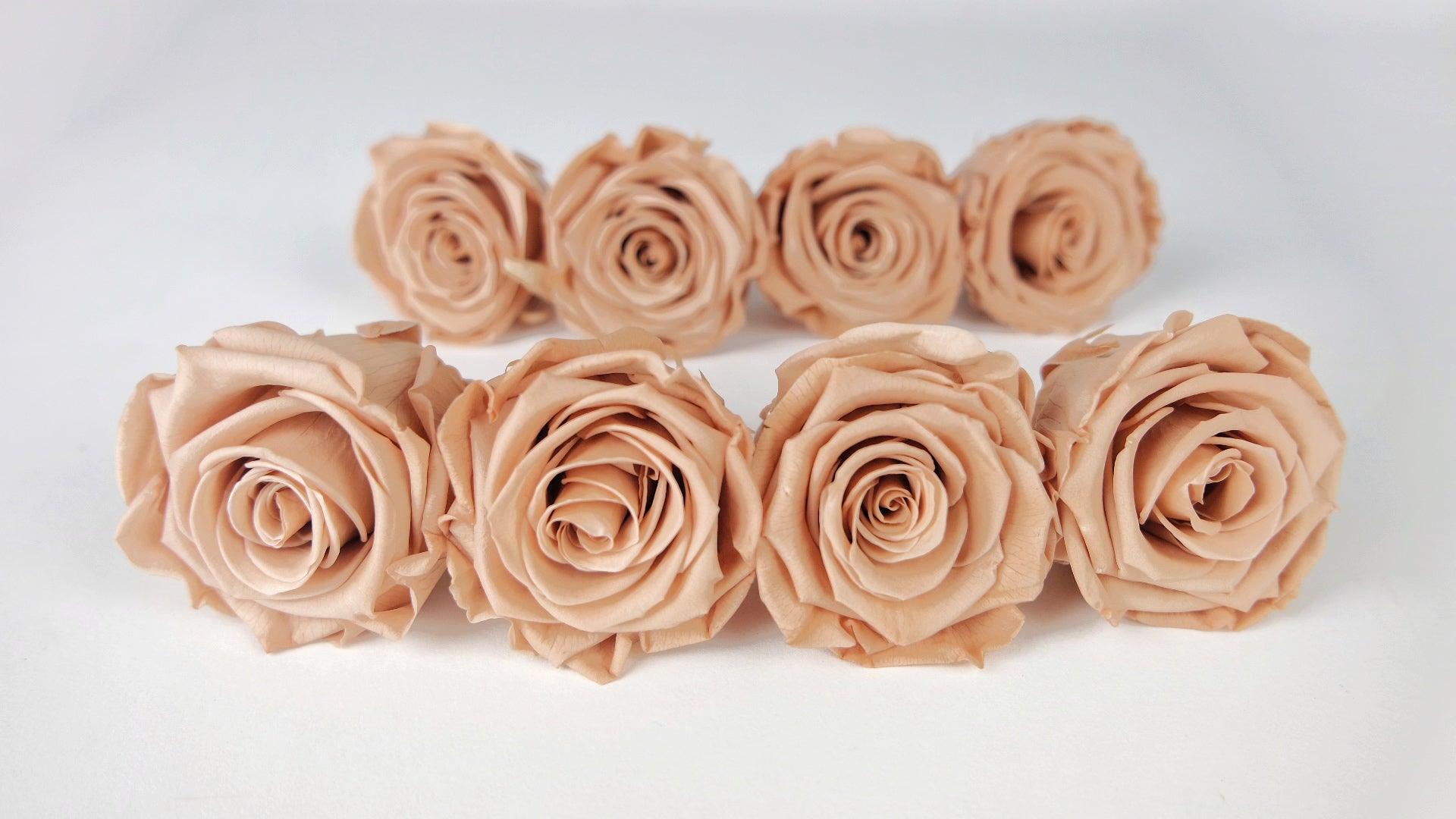 Roses stabilisées Kiara 5 cm - 8 têtes - Nude – Si-nature