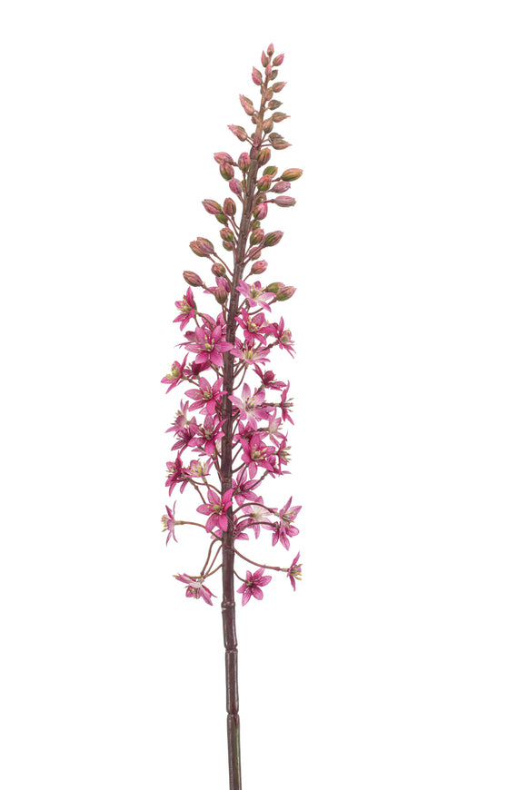 Eremurus artificiel - 1 tige - Fuchsia