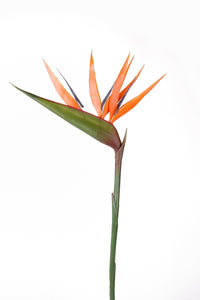 Flor de loro artificial - 1 tallo - naranja