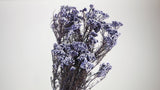 Conserva Diosmi - 1 bouquet - lavanda blu