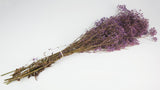 Gypsophila stabilizzata - 1 mazzo - Viola